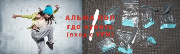 СК Алексин