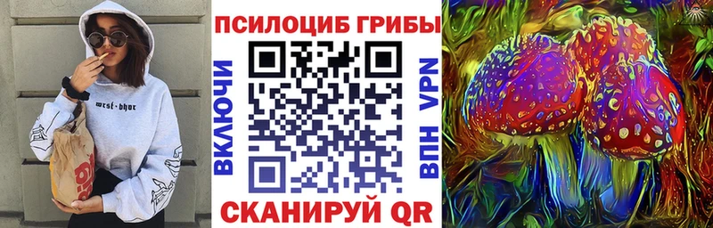 Псилоцибиновые грибы Cubensis  купить закладку  Канаш 